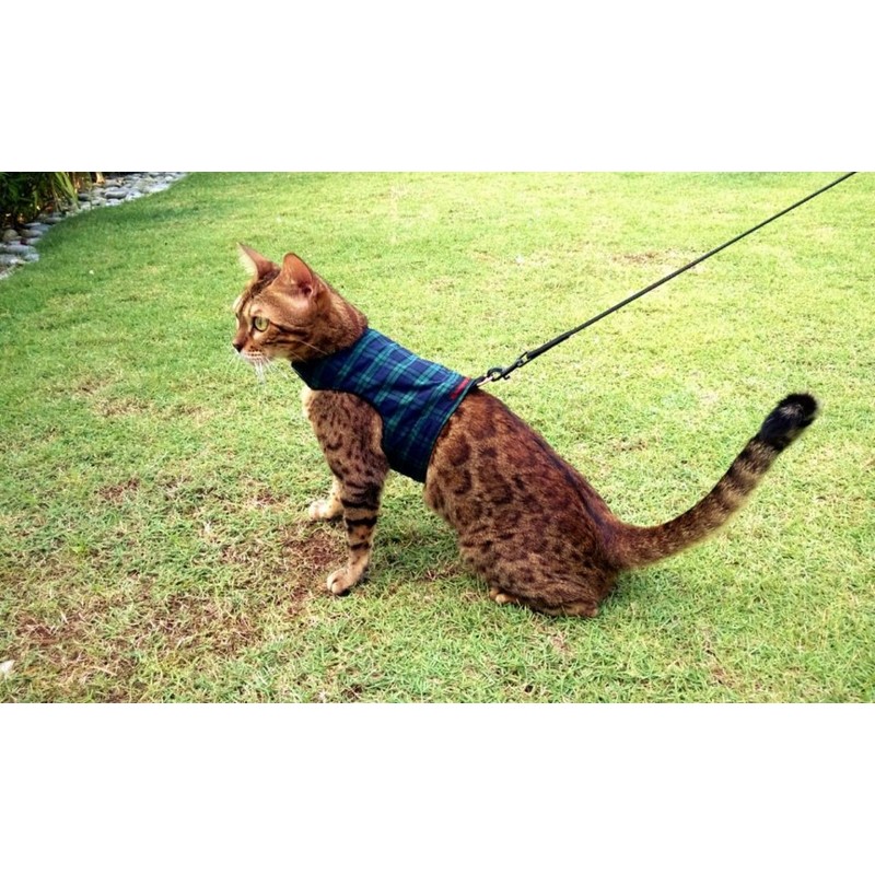 Mynwood Cat Jacket/Harness Black Watch Tartan Adult Cat