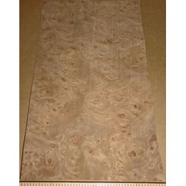 Carpathian Elm Burl Wood Veneer 6'' x 11" raw Veneer 1/42" no Backing AA Grade