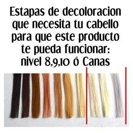 Magicolor Shampoo Negro Matizador Cabello Gris Plata Gray Platina 1 Lt