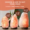 The Body Source Himalayan Salt Lamp 10-12 inches (11-15Ib), Includes