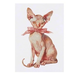 ' Sphynx Kitten with Bow' Temporary Tattoo - Water Resistant, Skin-Safe, Non-Toxic Transfer (TO00077237)