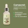 ORE Aceite de Orégano 80% Carvacrol, Orgánico y Silvestre, con