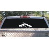 Snook Decal in Black or White 10"X3" / White Facing