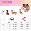 PUKAKO Dog Collar Leash Set, Dog Collar, Dog Leash for