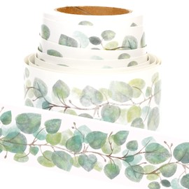Youngever 52.5 ft Bulletin Board Borders for Classroom Decoration (Eucalyptus Design)