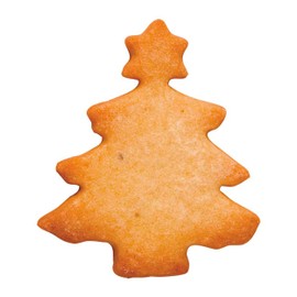Staedter Fir Tree with Star Cookie Cutter, Silver, 6 cm