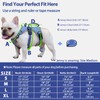 Huntboo Escape Proof Dog Harness, Escape Artist Harness, Reflective Dog