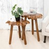 JOLLYMER Natural Teak Wood Live Edge Side Table with Wood