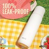 Ello Therma 32oz Insulated Stainless Steel Thermos for Hot &