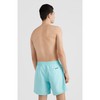 O'Neill Cali Swimming Shorts