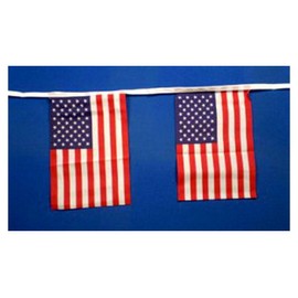 Klicnow USA United States Of America 9M Cloth Bunting 30ft Long with 30 Flags