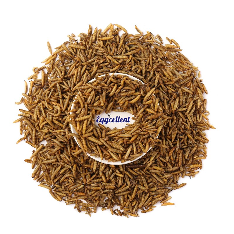 Eggcellent Update 2.2Lbs 95% More Calcium Than Mealworms, Non-GMO High