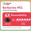 CaelumCore Liposomal Berberine HCL - Berberine 1500mg Activates AMPK, High