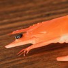 Artificial Shrimp Model 9 Pieces Red PVC 2.95 X 1.77