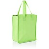 eBuyGB Non Woven Multi Purpose Thermal Insulated Shopping Grocery Cooler