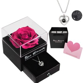 SUOHINAO Rose Mother's Day Gift Kit, Mother's Day Gifts Eternal Rose Gifts for Mum, Mother's Day Anniversary Beast Roses Gifts for Women Birthday Mum Mother's Day Gift, Metal