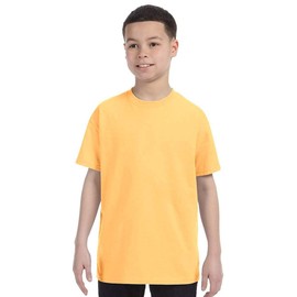 Gildan Big Boys' Heavyweight Taped Neck Comfort T-Shirt, Yellow Haze, Small