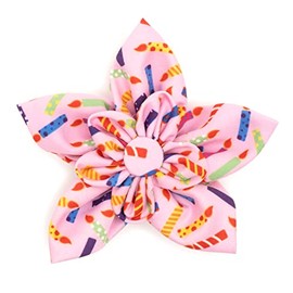 The Worthy Dog It's My Birthday Flower Collar Attachment - Adjustable Touch Fastener Closure for Dogs & Cats, Available in Pink for Small, Medium & Large Sizes