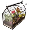 D'Eco Glass Greenhouse Terrarium (10x4.5x9) - Tabletop Black Hinged Geometric