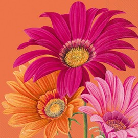 IHR Ideal Home Range Cocktail Napkins Disposable 3-Ply Paper Party Napkin Pack, 5" x 5", Joyful Gerbera (Orange), 20-Count