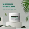 Mad Skincare Wheatgrass Recovery Mask Pack 240g + Booster Serum 30g (USA) / 매드스킨케어 휘트그라스 리커버리 마스크팩 240g + 부스터 세럼 30g (미국)