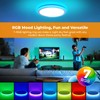 BLNAN RGB Led Flush Mount Ceiling Light with Remote Control,