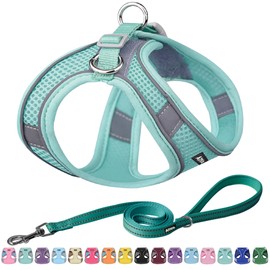 AIITLE Step in Dog Harness and Leash Set - No Pull Escape Proof Vest Harnesses with Soft Mesh and Reflective Bands, Adjustable Pet Outdoor Harnesses for Small and Medium Dogs Pure Turquoise M