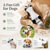 No-Stuffing Dog Squeaky Toy for Interactive Play – 45cm Crinkle