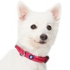 Blueberry Pet Essentials Matching Dog Collar & Leash Set |