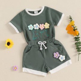 Toddler Baby Girl Summer Clothes Infant 3D Flower T Shirt Shorts Clothing Set Spring Cute Newborn Waffle Outfits (A 3D Embroidery Flower Green, 3-4T)