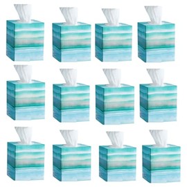 Facial Tissues with Soothing Lotion, Family Size Boxes, Multi-Room Use - (12 Pack, Cube Boxes)