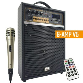 EMB 300 Watts Peak Power Rechargeable Guitar Speaker Amplifier Combo with MIC SD USB Echo V5 Built-in Bluetooth 6.5 inch Subwoofer Sound System & Remote Control
