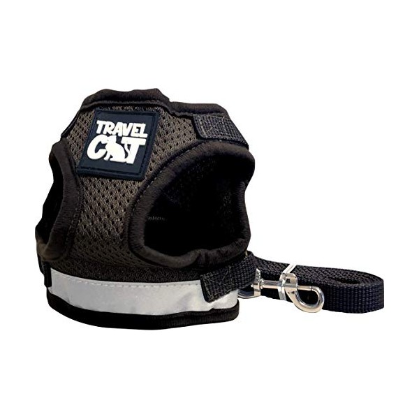 Travel Cat: The True Adventurer - Reflective Cat and Kitten