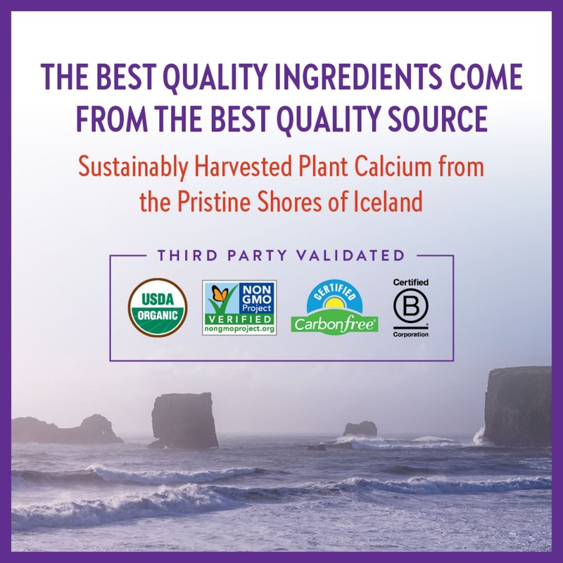 New Chapter Bone Strength Take Care, 180 Slim Tablets