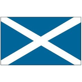 Scotland - St Andrews Cross - 2ft x 3ft Nylon Flag - Outdoor
