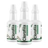 Clorofila Líquida Concentrada 500 Menta Eucalipto Hierbabuena Vitamina Concentrado Frascos