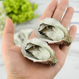 Mellsunny 8Pcs Artificial Oysters Fake Shellfish Seafood Model Simulation Oysters Prop Food Sample Display for Kitchen Home Party Decorations