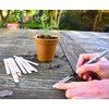 Nutley's Biodegradable Seedling Labels Plant Markers (Pack of 200)