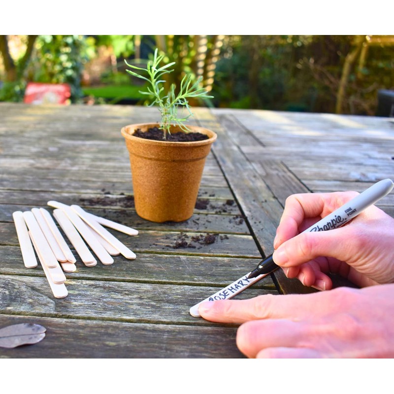 Nutley's Biodegradable Seedling Labels Plant Markers (Pack of 200)