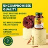 MegaFood Superfood Mushroom Stress Relief - Reishi Mushroom Supplement Clinically