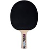 Donic-Schildkröt Legends 800 FSC Table Tennis Bat, AVS, PLS &