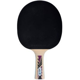 Donic-Schildkröt Legends 800 FSC Table Tennis Bat, AVS, PLS & Ergo-Grip, 2.0 mm Sponge, FSC Wood, Champion - ITTF Rubber, 754425