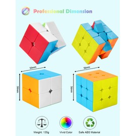 ROXENDA Speed Cube Set, 2X2 3X3 Speed Cube Stickerless Puzzle Cube with Instruction (Stickerless)