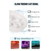 Slow Feeder Cat Bowls, Ceramic Fun Slow Eater Bowl for