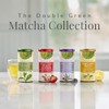 The Republic of Tea Polvo orgánico para té matcha