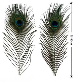 50PCS Natural Peacock Feathers with Eye Peacock Tail Feathers 10-12inch (25-30cm) for Wedding Party Arts And Crafts Home Decorations (Natural Color, 50PCS)