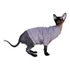 Kotomoda Cat's Sweater Sparkling mauve for Sphynx and naked cats