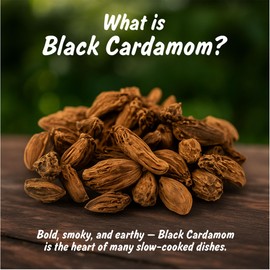 Spice Profile USDA Organic Whole Black Cardamom, 2 oz, Lab Tested for Heavy Metals, Kali Elaichi, Cardamomo Negro