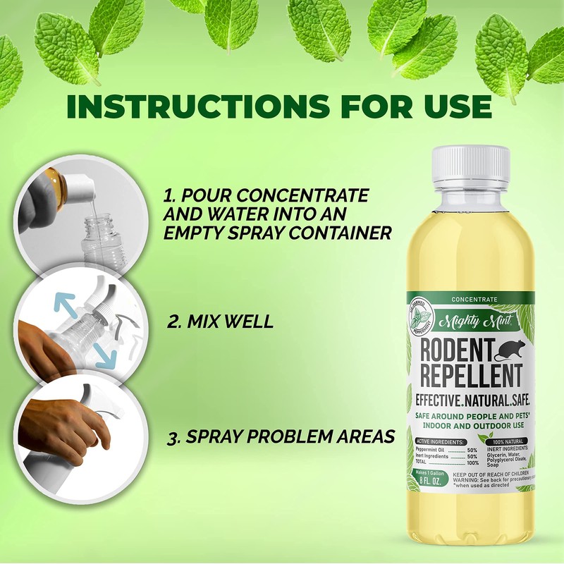 Mighty Mint Peppermint Oil Rodent Repellent Concentrate – Natural Indoor