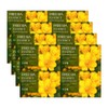 Happy Bath Dubore Soap Freesia 100g x 16 units/face soap
